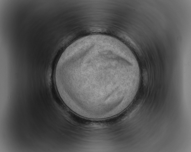 X0000092000490200710041010