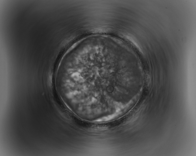 X0000092000491200710041010