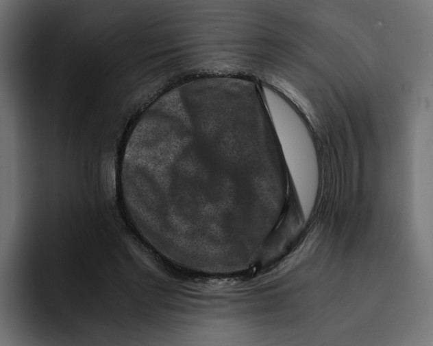 X0000092000493200710041010