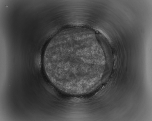 X0000092000494200710041010