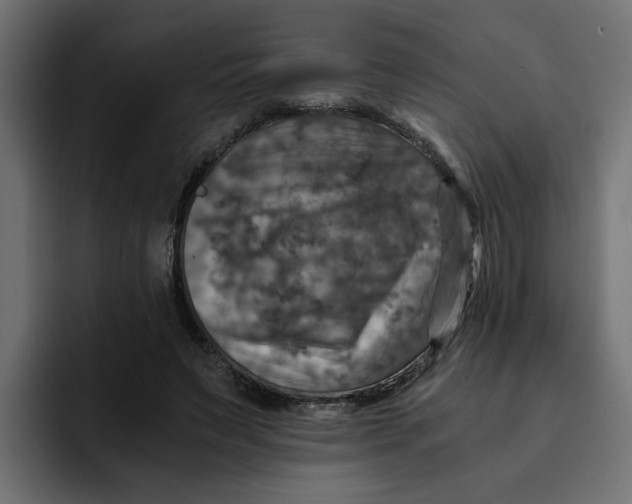 X0000092000495200710041010