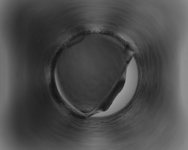 X0000092000496200710041010