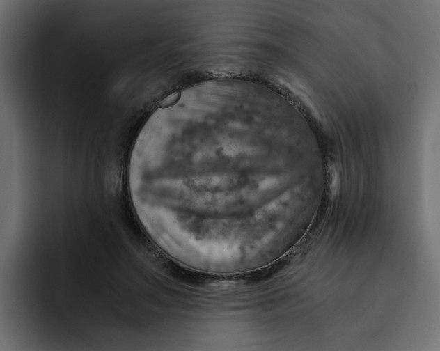 X0000092000499200710041010