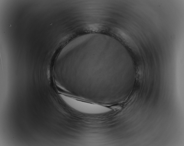 X0000092000500200710041010