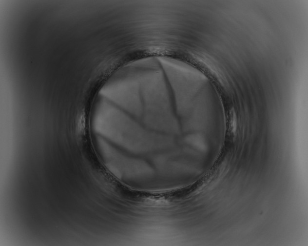 X0000092000502200710041010