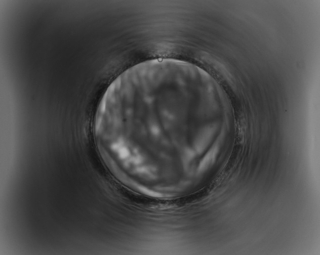 X0000092000503200710041010