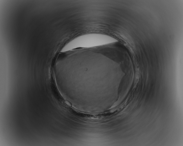 X0000092000504200710041010