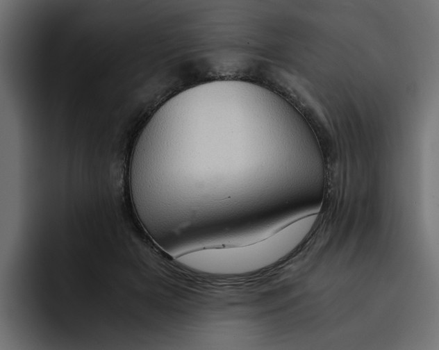 X0000092000505200710041010