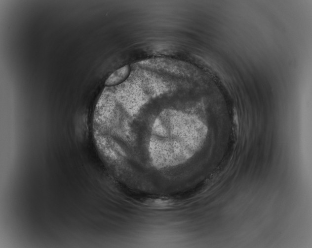 X0000092000506200710041010