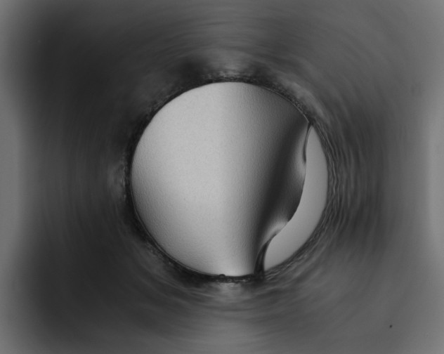 X0000092000509200710041010