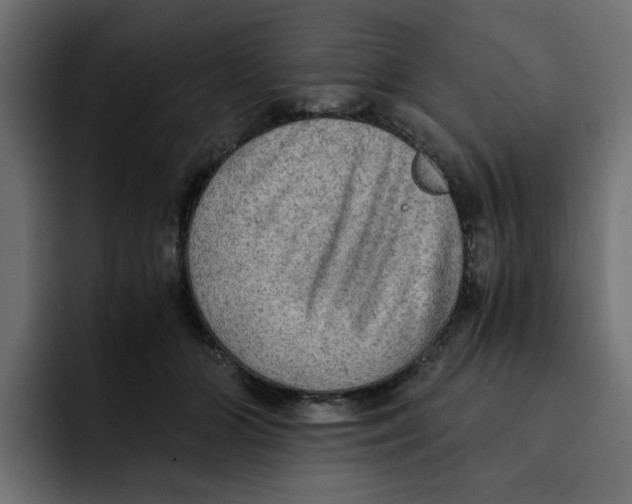 X0000092000510200710041010