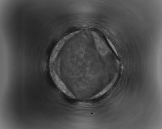 X0000092000515200710041010