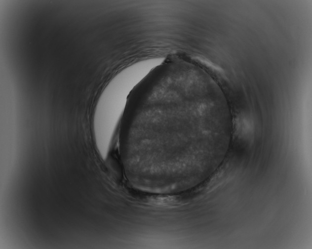 X0000092000517200710041010