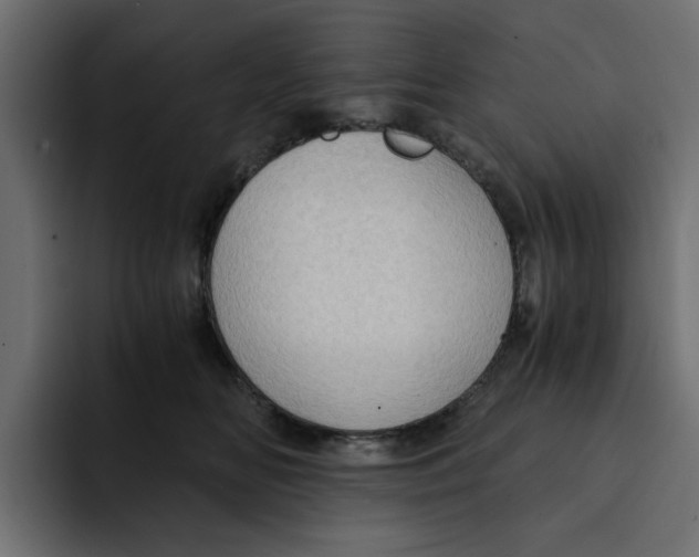 X0000092000518200710041010