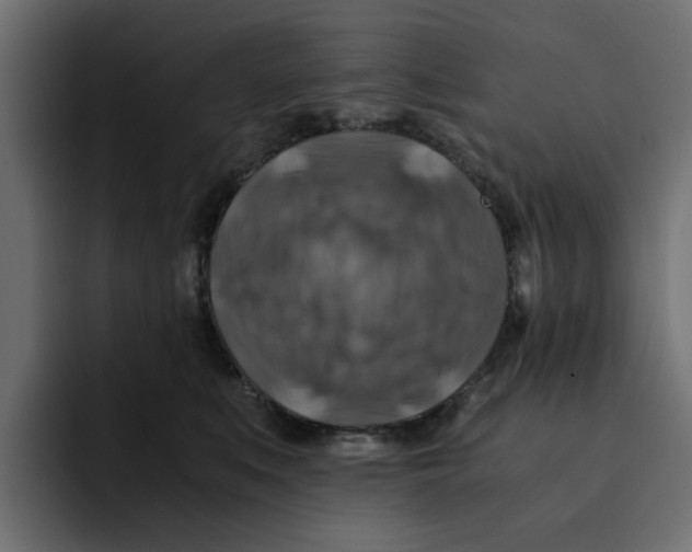 X0000092000519200710041010