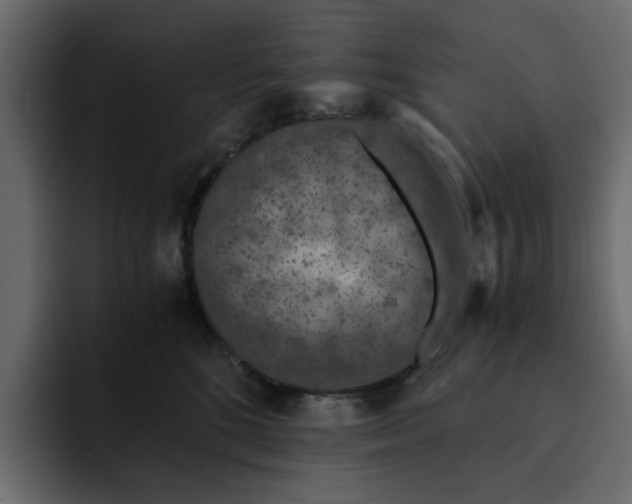 X0000092000520200710041010