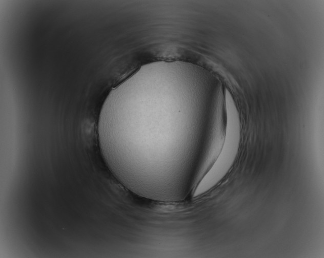 X0000092000521200710041010