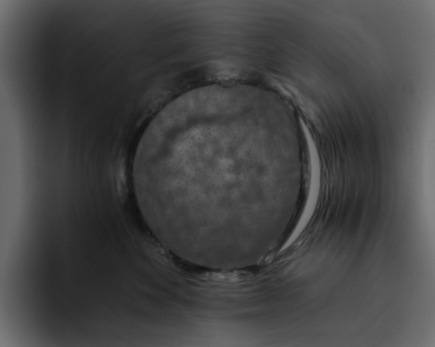 X0000092000524200710041010