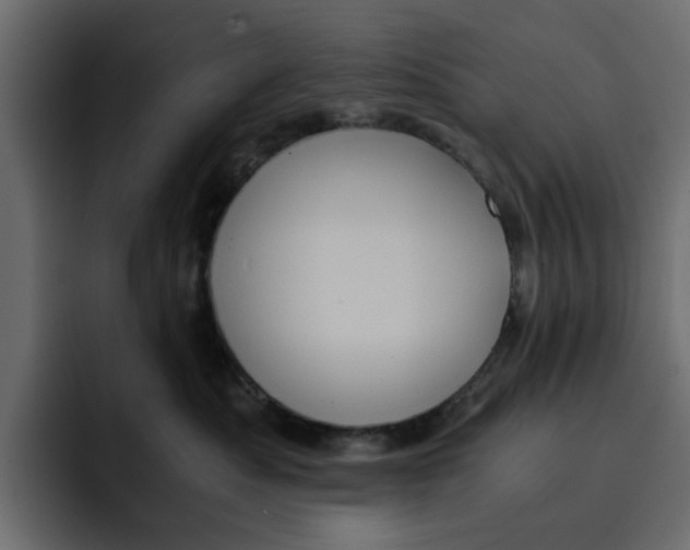 X0000092000525200710041010