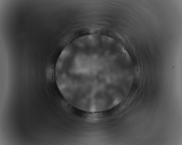 X0000092000527200710041010