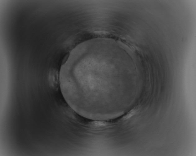 X0000092000528200710041010