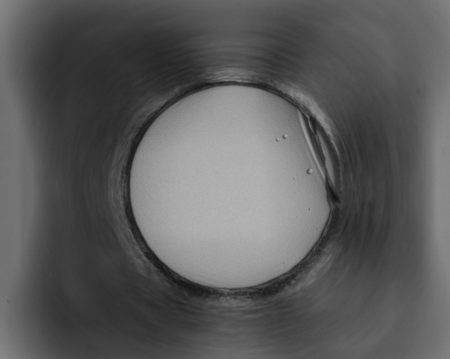 X0000092000529200710041009