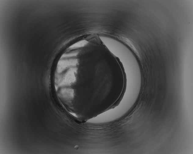 X0000092000531200710041009