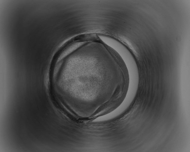 X0000092000532200710041009