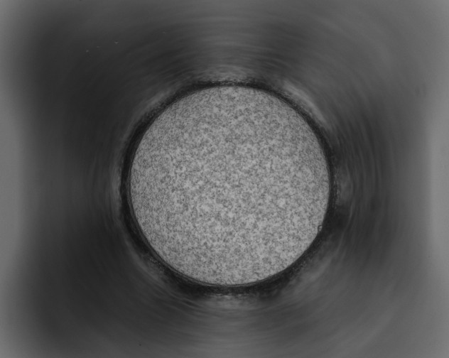 X0000092000538200710041009