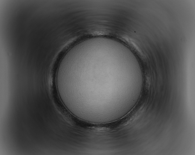 X0000092000539200710041009