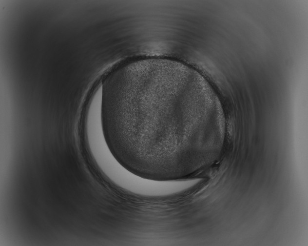 X0000092000540200710041009