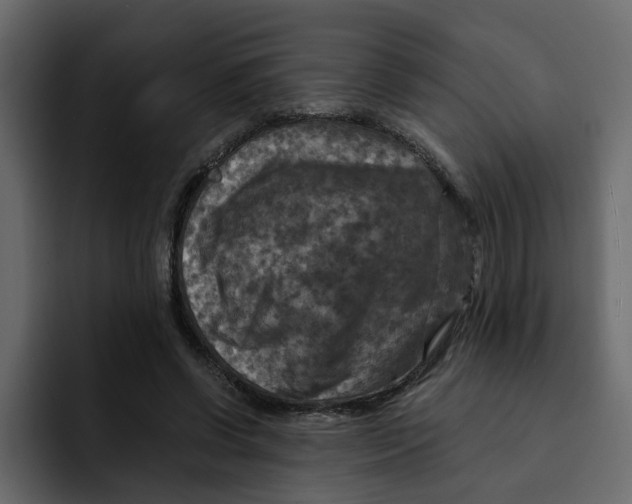 X0000092000542200710041009