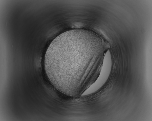 X0000092000543200710041009