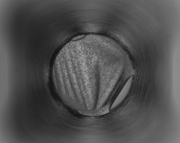 X0000092000544200710041009