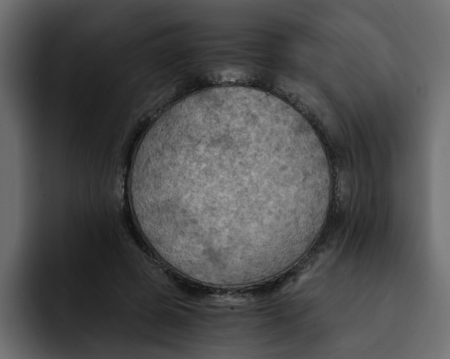 X0000092000545200710041009