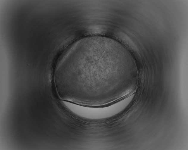 X0000092000546200710041009