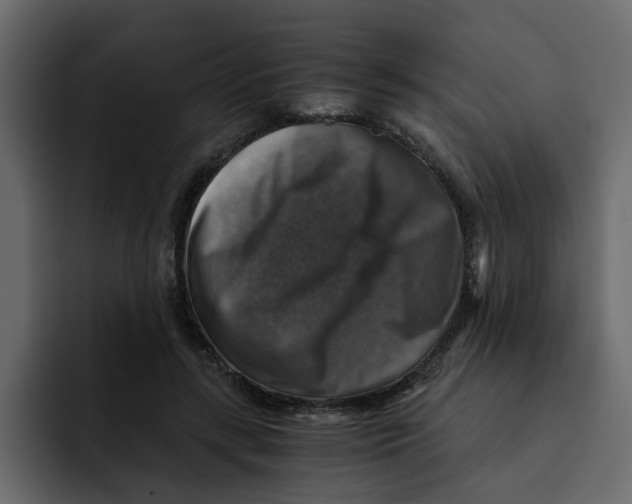 X0000092000547200710041009