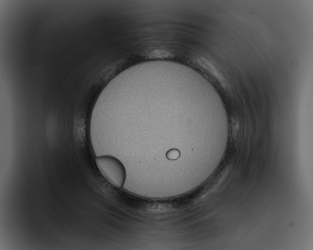 X0000092000549200710041009