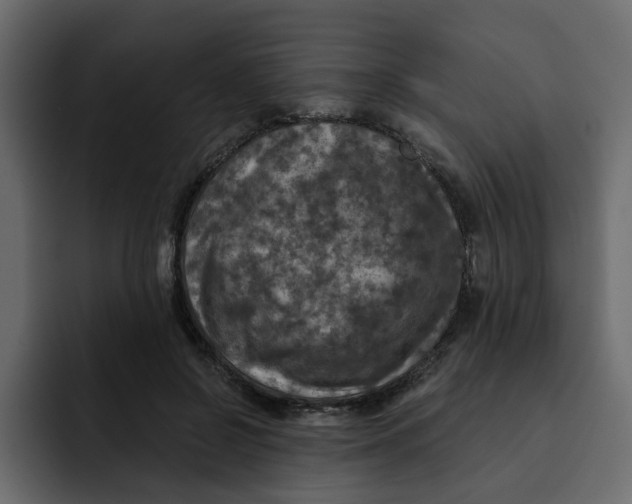 X0000092000550200710041009