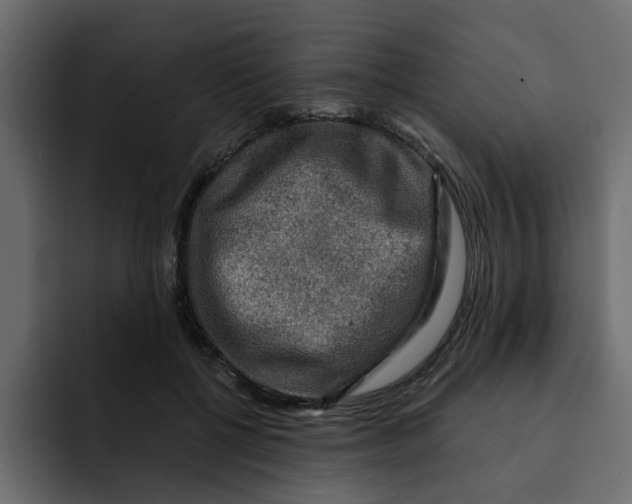 X0000092000552200710041009