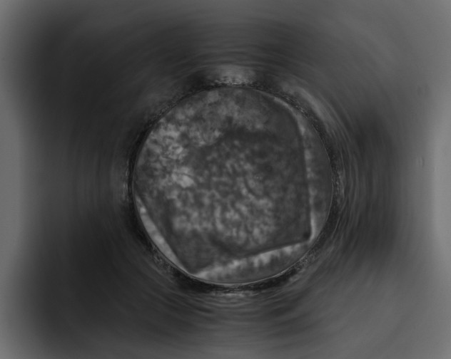 X0000092000553200710041009