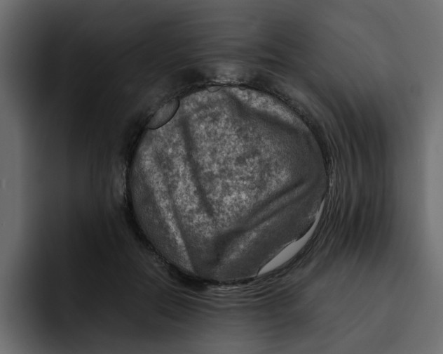 X0000092000554200710041009