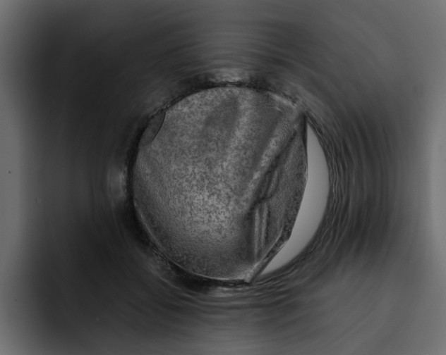 X0000092000556200710041009