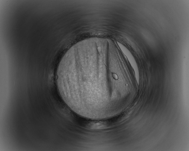 X0000092000557200710041009