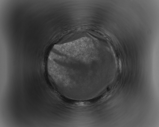 X0000092000558200710041009