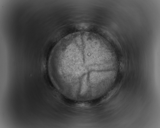 X0000092000561200710041009