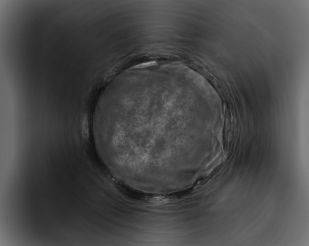 X0000092000562200710041009