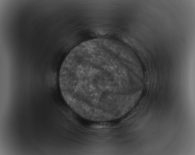 X0000092000563200710041009