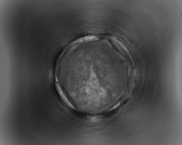 X0000092000564200710041009