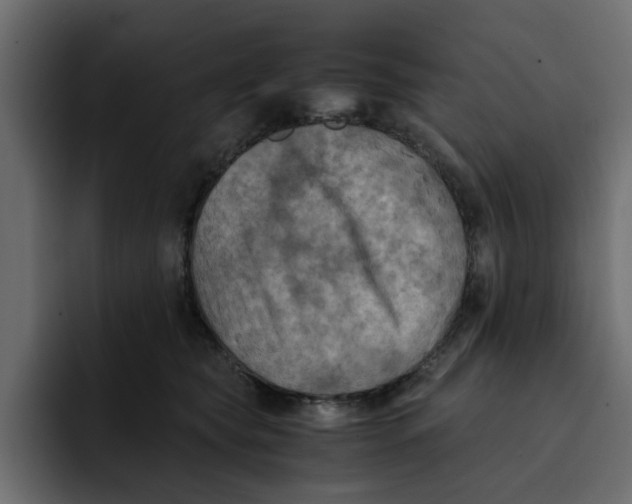 X0000092000565200710041009